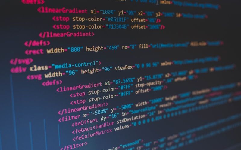 WordPress vs Custom Website — Which is Right for Your Mumbai Business?